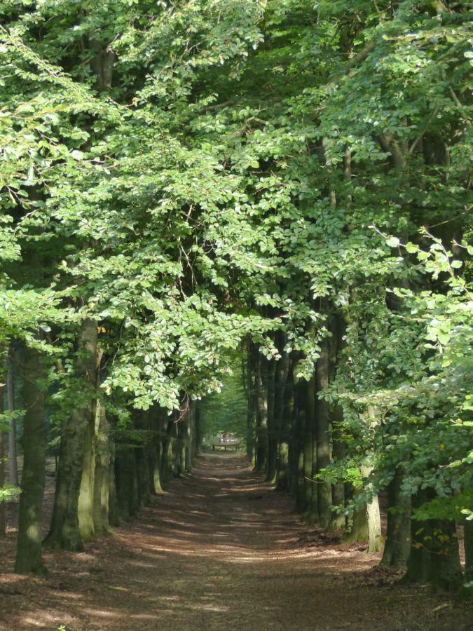 B&B Onder De Rode Beuk Dieren Luaran gambar
